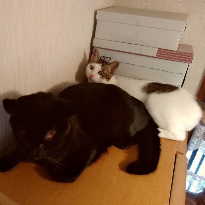 5ec50113 7106 4e28 aebd 485b30d0bb63 1657020716916