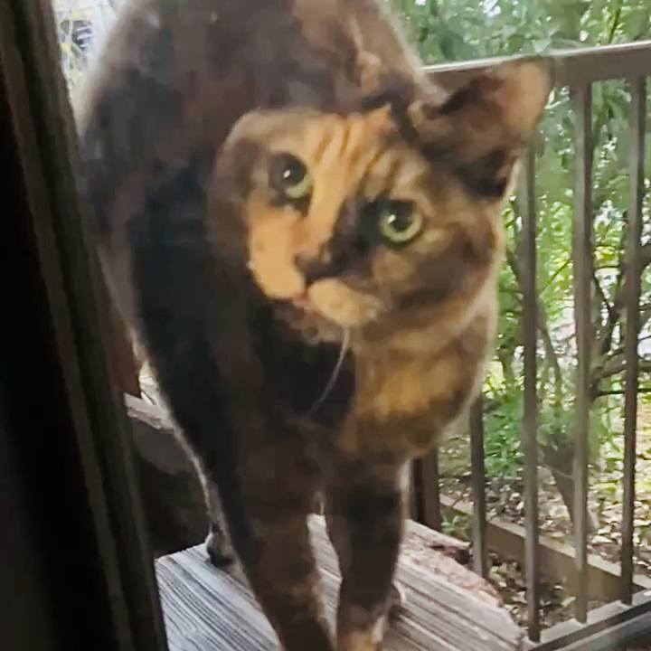 5ec50433 5040 40a6 a694 9363da789fc2 1734349334985