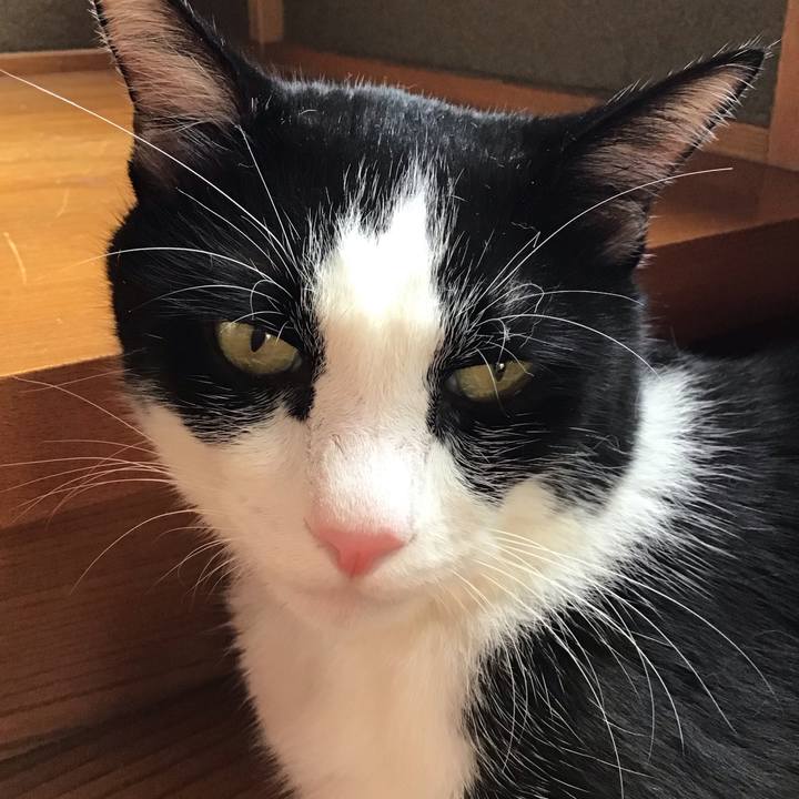 5ec51d02 ddf2 461e 9360 869428f46d3f 1757579474930