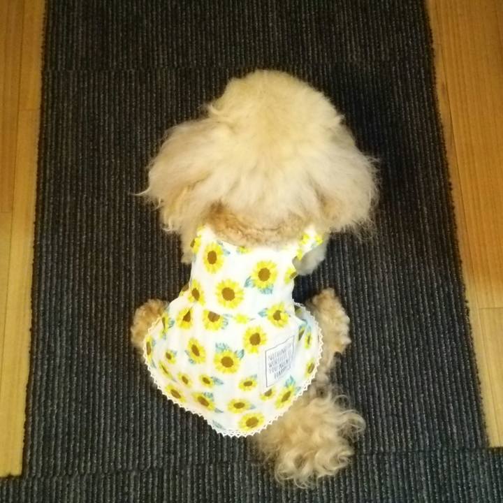 5ec53664 b81c 4318 9311 3667e8a280f6 1562297166443