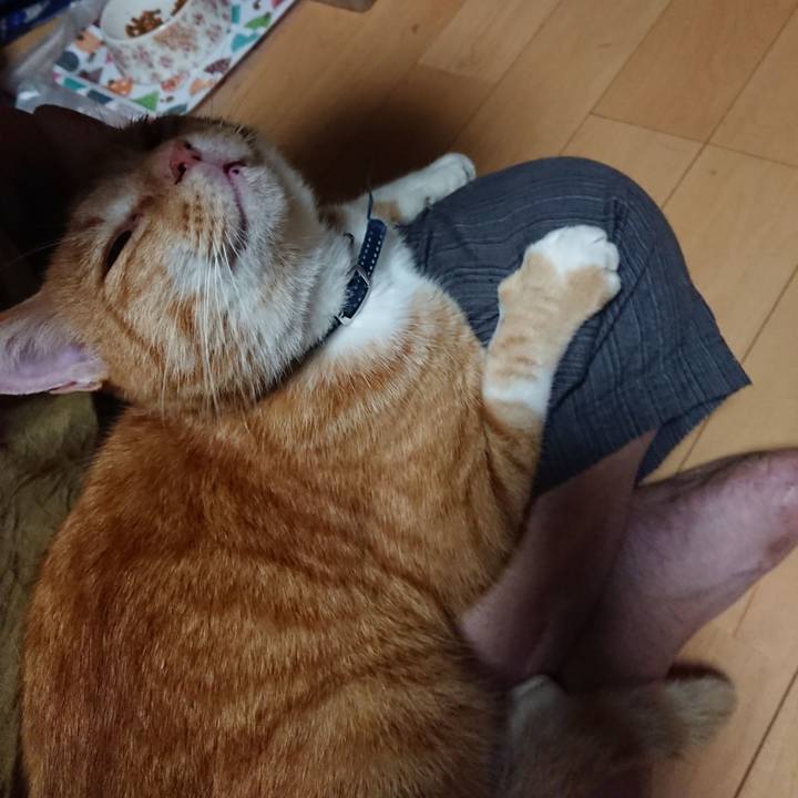 5ec547fd 4adf 49b5 ac67 8993f06a44d0 1599424632916