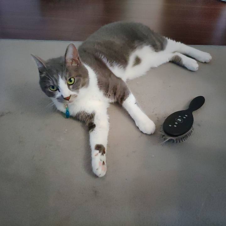 5ec54d15 0d0c 4c4f b9e6 1eb0d3616675 1723865715931