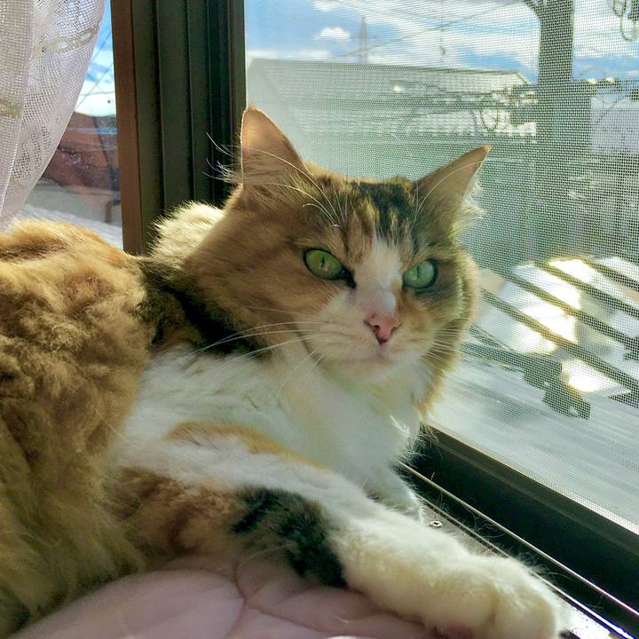 5ec5b817 e28b 4e17 9e69 2d1d9dd5a668 1612151117560