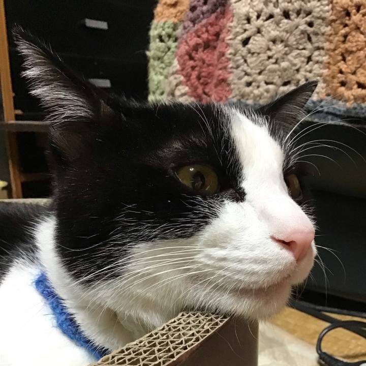 5ec5cb8f c1cf 418c b2f2 1bf6fa3ba705 1703328167396