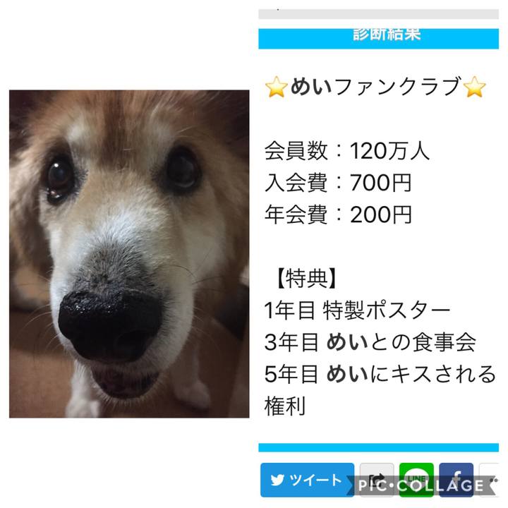 5ec5ce11 8bc8 4566 8a74 a6d258256f88 1568524892107