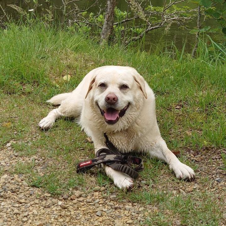 5ec5e14e 594c 422b aca1 a8e653b4be21 1751945710791