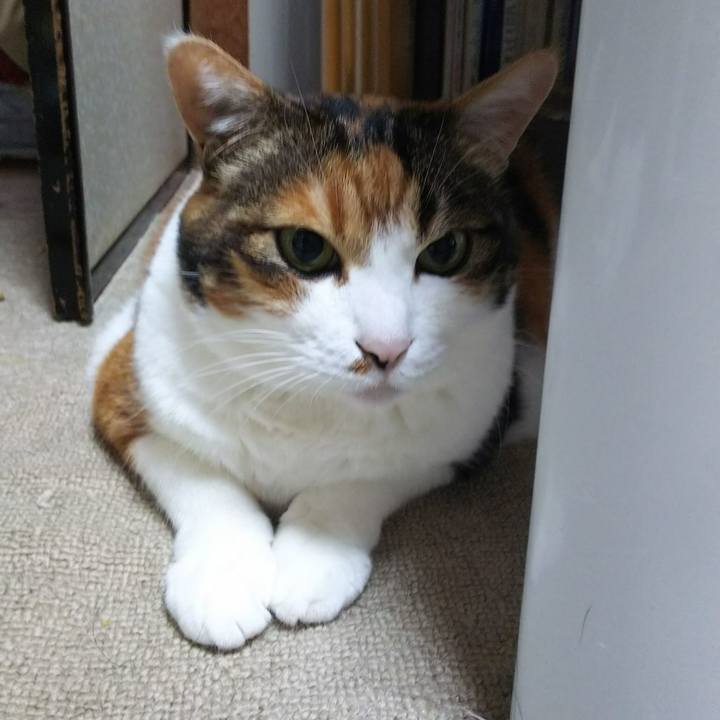 5ec62374 faf0 4877 ba31 d81c9bfee29a 1534974314766