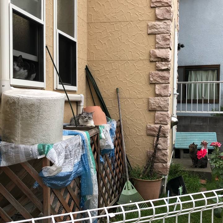 5ec64346 2d4a 4b81 b9bd 4cd03e6b1c38 1536838523341