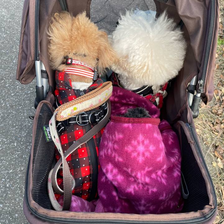 5ec650ab 555b 46bd bff6 edda275bacf2 1762982491499