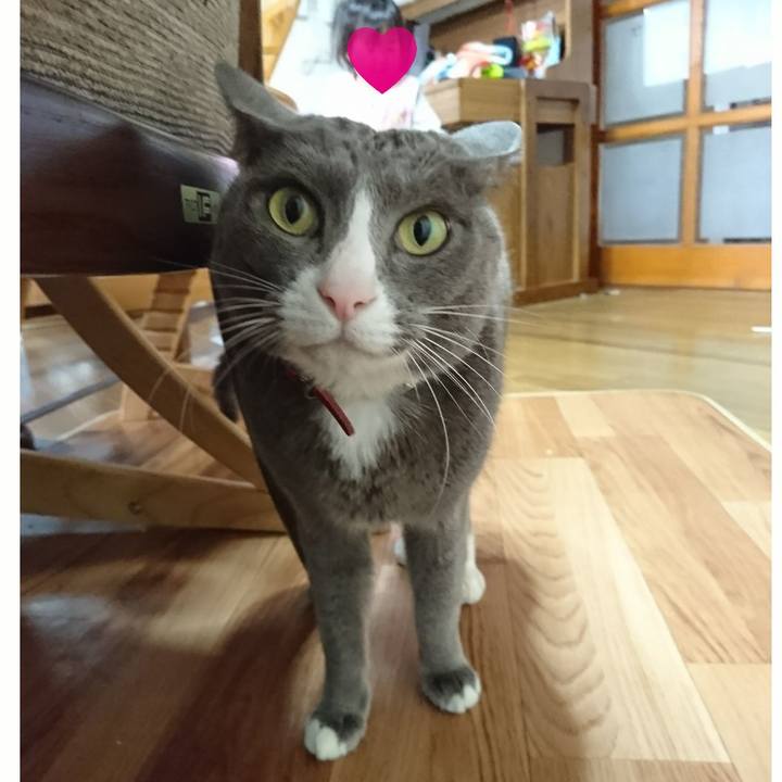 5ec68428 2b34 472e 8b65 79c713562c3f 1517793880941