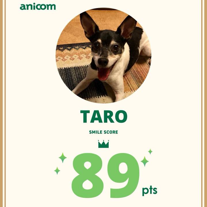 5ec68e60 1b32 45d4 8c9c 9d1dc0806c69 1748383606741