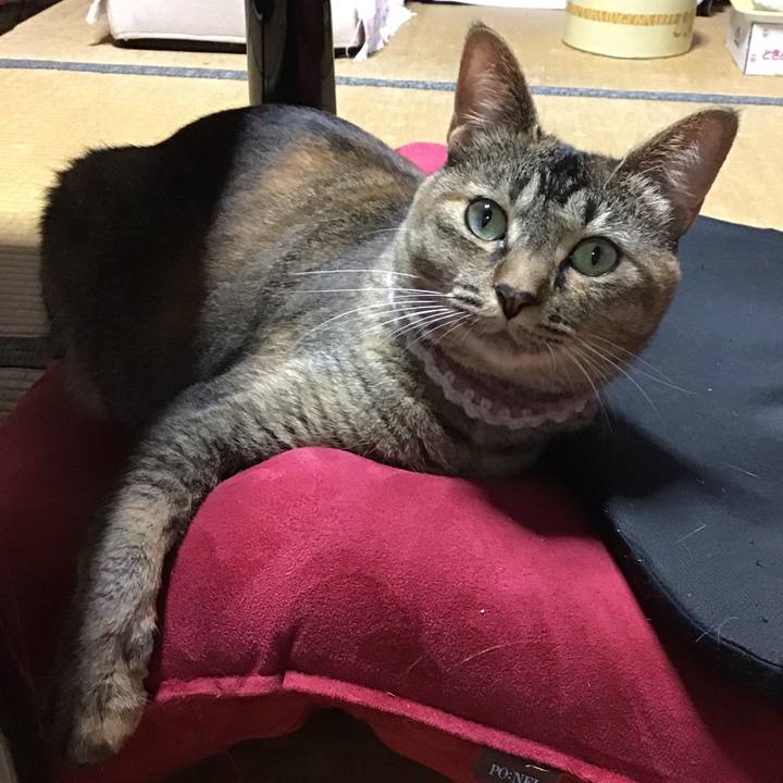 5ec69ddb f044 4d9e b79c 4349eda2cab6 1657977480486