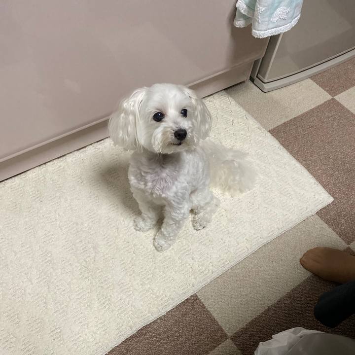 5ec6b411 295f 4341 bf93 3a867d126caa 1601703831665