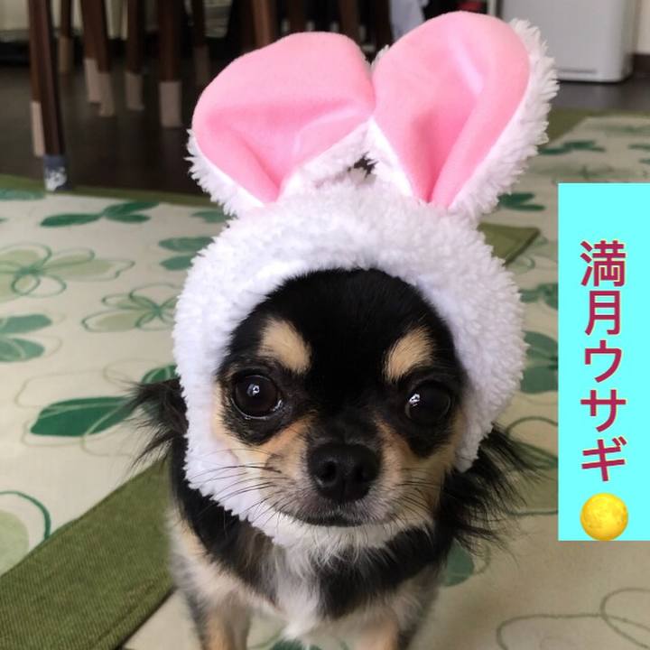 5ec6b81f 9d98 40a9 866e 405b6a25f200 1568327067987