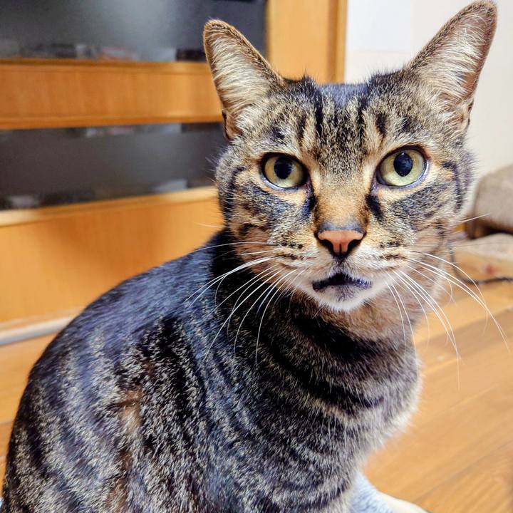 5ec6cb97 67b9 4d3a a84d 0022836d1e94 1765545303014