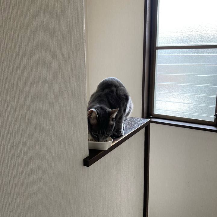 5ec6dc18 5c64 4132 a5a2 a42ff9ccef56 1654689319859