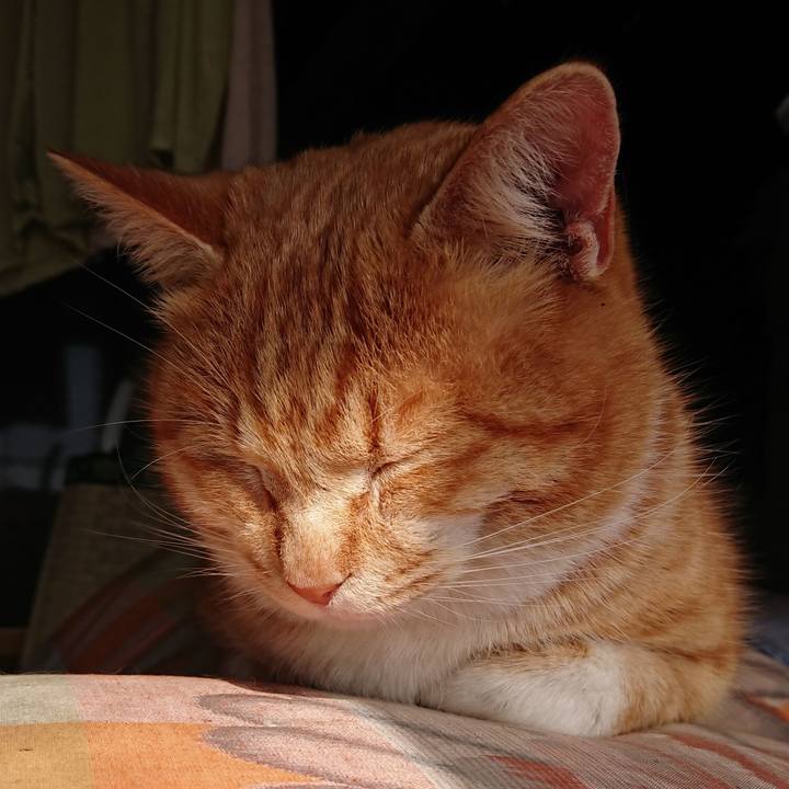 5ec73d4f afb0 4934 bb90 950d43a336bf 1581222133041