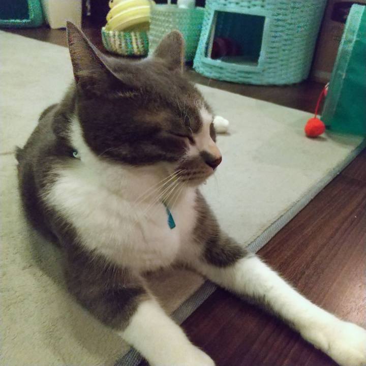 5ec7683a 76d7 4d8a b169 ad37514a3991 1630675584262