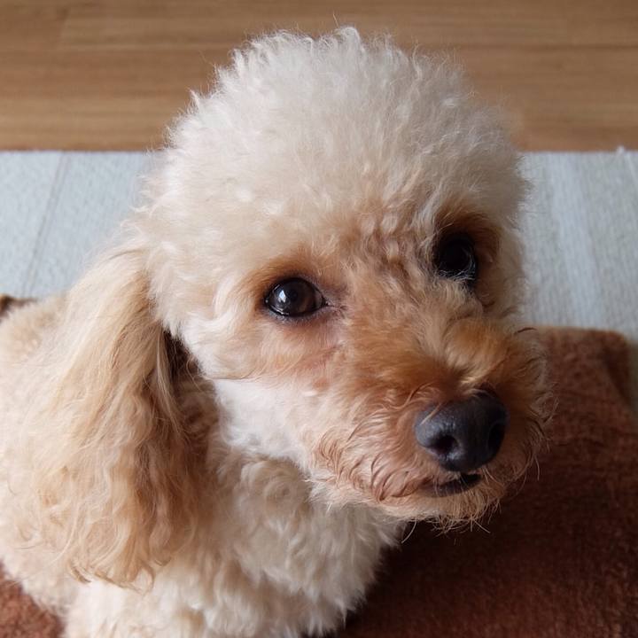 5ec780e4 5acd 42b0 823c 9552a7bf2ddd 1533987712190