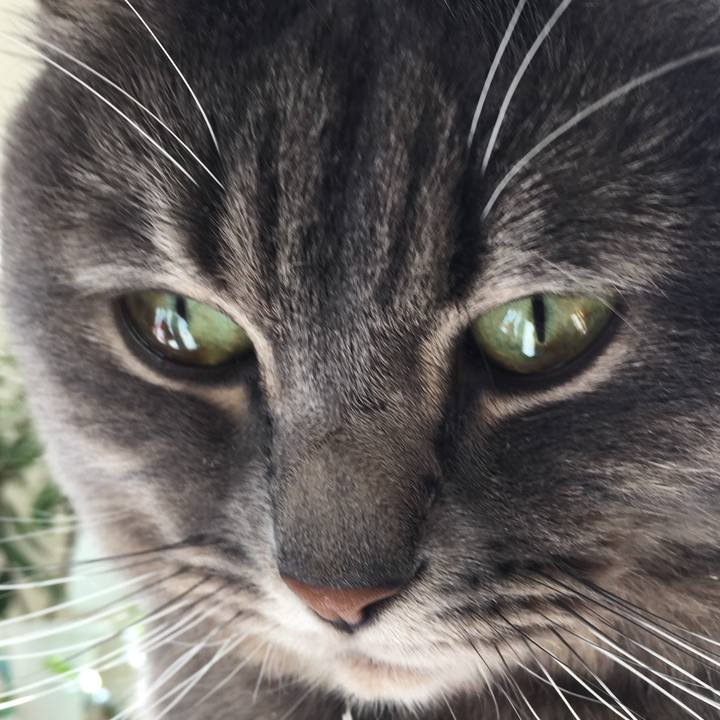 5ec788d8 6a79 458f 8111 9c68ab40934a 1524269870462