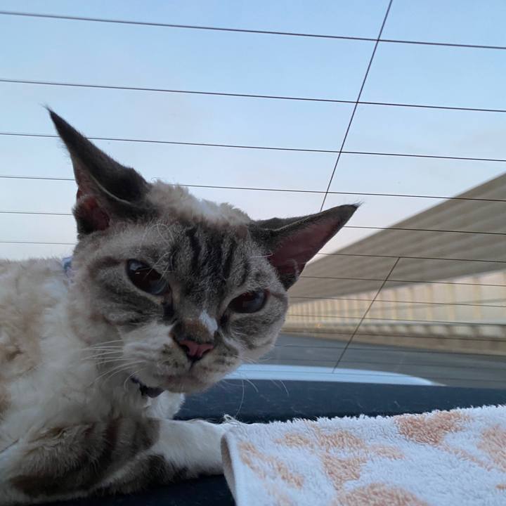 5ec79c8e d7ad 4d7f 8b8b 5ab54b722b1c 1659624744959