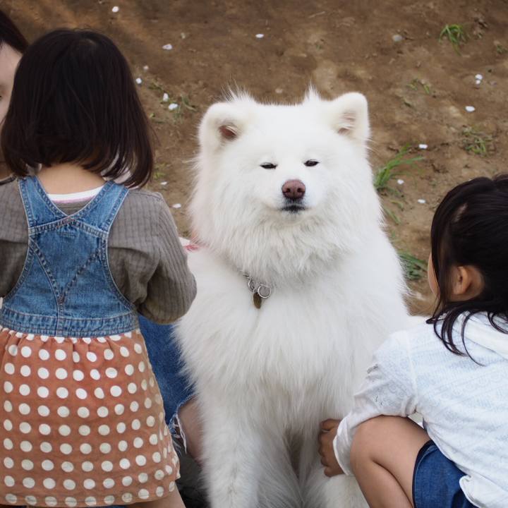 5ec7bd00 8ee6 4cb7 a727 5b0fca061782 1522485094481