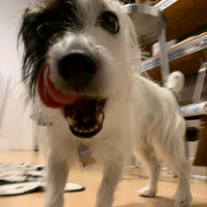 5ec8515d 86a9 4856 97b8 fa1ad7bd1d8a 1651053241465