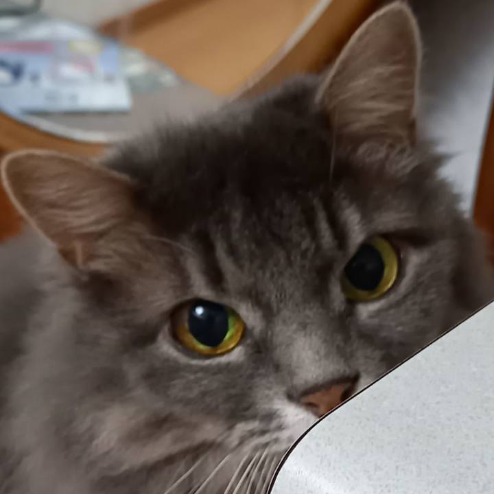 5ec85a66 d875 4b87 8ff6 4d8d967882be 1628941849820