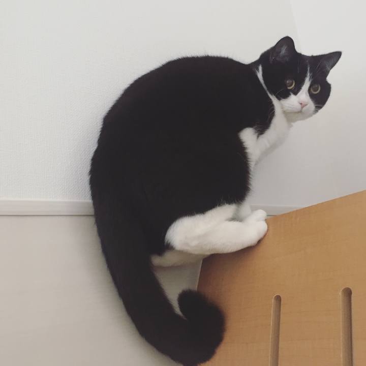 5ec87fe1 5f8d 4fee a710 2e9b343f3517 1557873129656