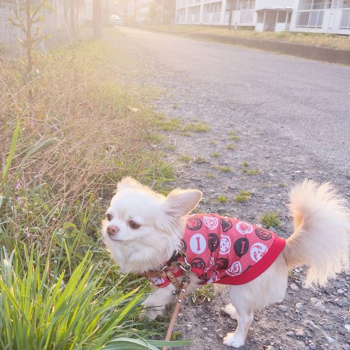 5ec88582 1189 44d4 bb02 b6a0110ce167 1742891701751