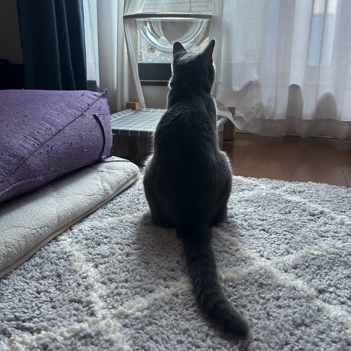 5ec8c872 51bd 4071 b186 1e7aaa687030 1693343179531