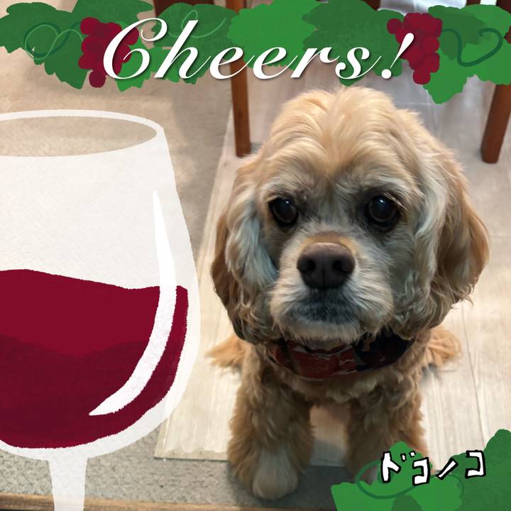 5ec91734 69c0 4454 a92c a998f9b0b75d 1761360740753