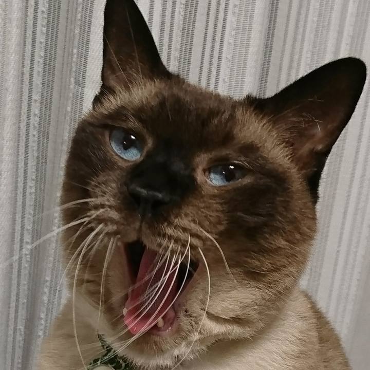 5ec91c81 8a54 47e5 b4f0 24d9e78e6d67 1511947894022