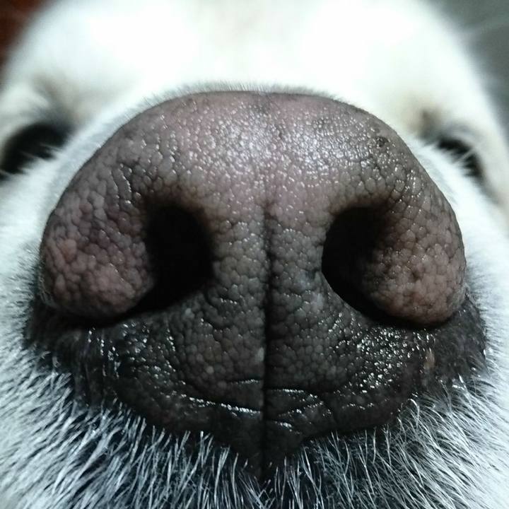 5ec93c25 322a 4141 aace 4211bbda7201 1523445963852