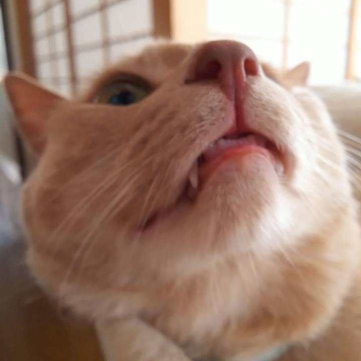 5ec984aa 7acc 4e9f a878 b2005066821e 1653727575833