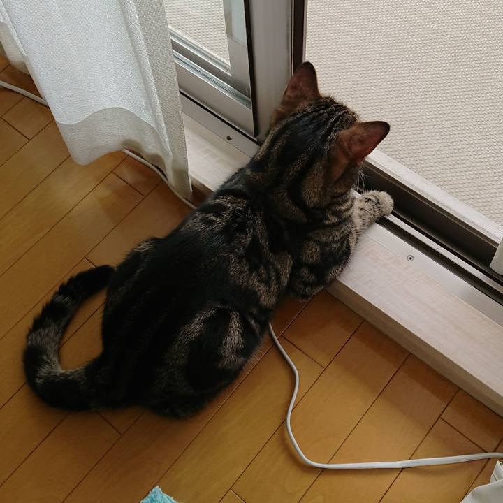 5ec995c3 d9d6 4056 a564 0e4a7c11c4c1 1536632752440