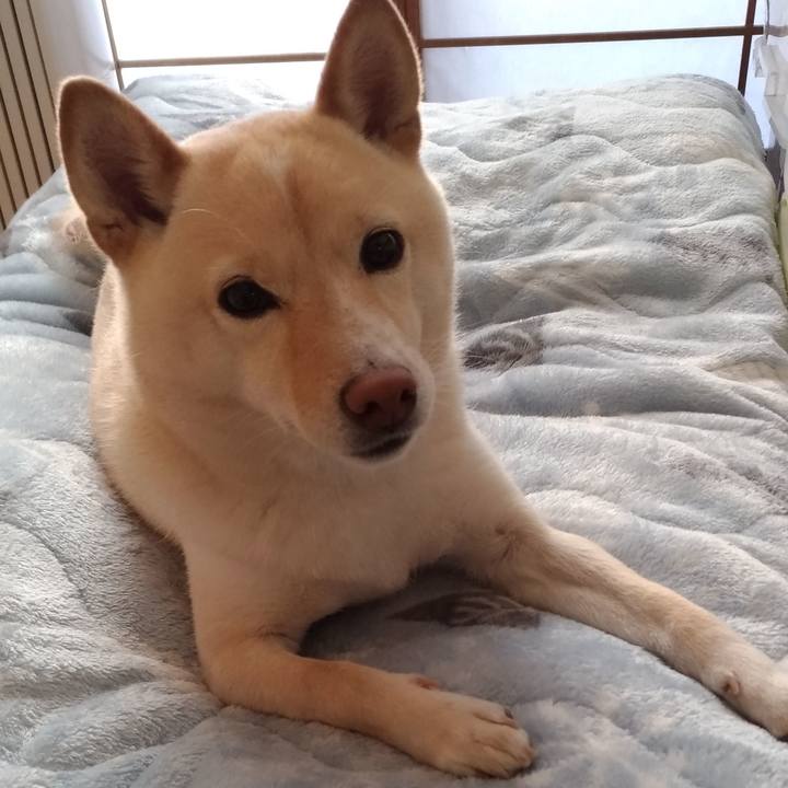 5ec999a0 884e 4f11 b545 73de4f8dd3c5 1609717692451