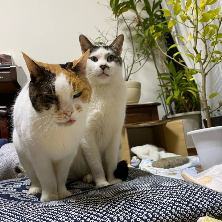 5eca1914 b251 4dae 9636 3e87c483b9b3 1675860754556