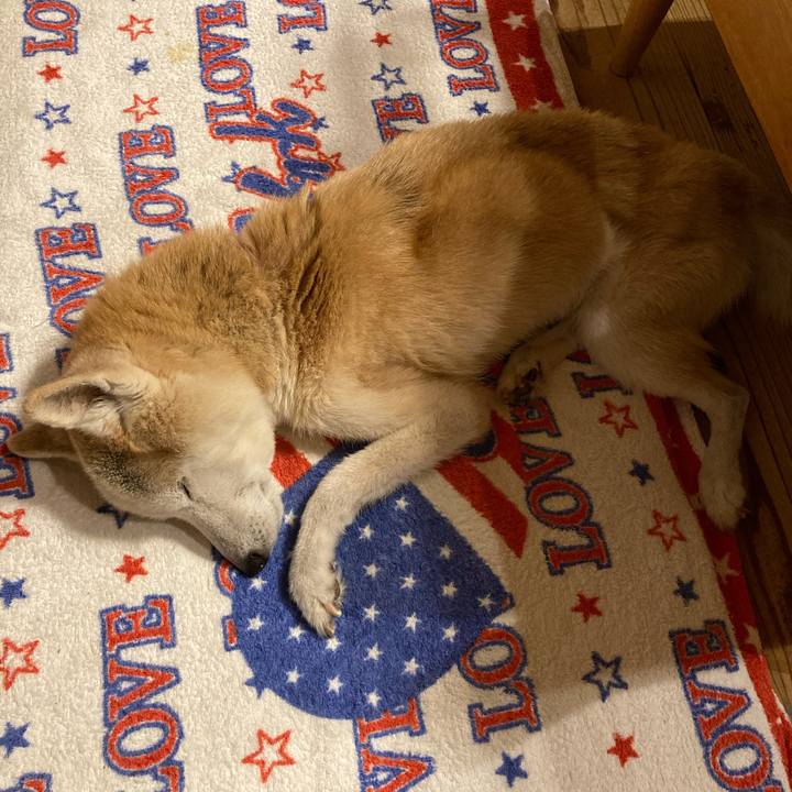 5eca58b8 c2de 43ae bc63 6944b53f7e48 1600076781860