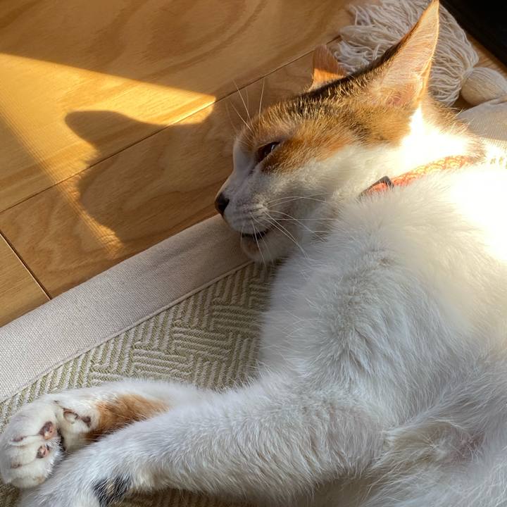 5eca6bde 91ec 40ff bb78 2998f83899d7 1668222581974