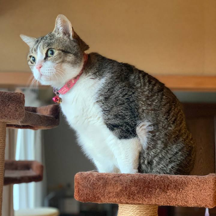 5eca8663 7c7a 4825 921d 38026a162b8e 1678580471145