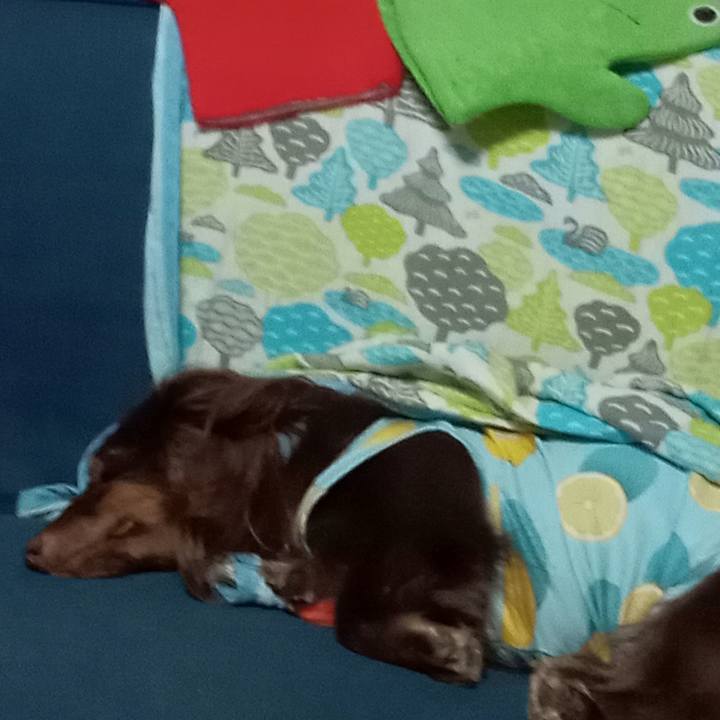 5ecaa3de fdda 4dfa 8a73 e3ec4d6eb710 1758320481994