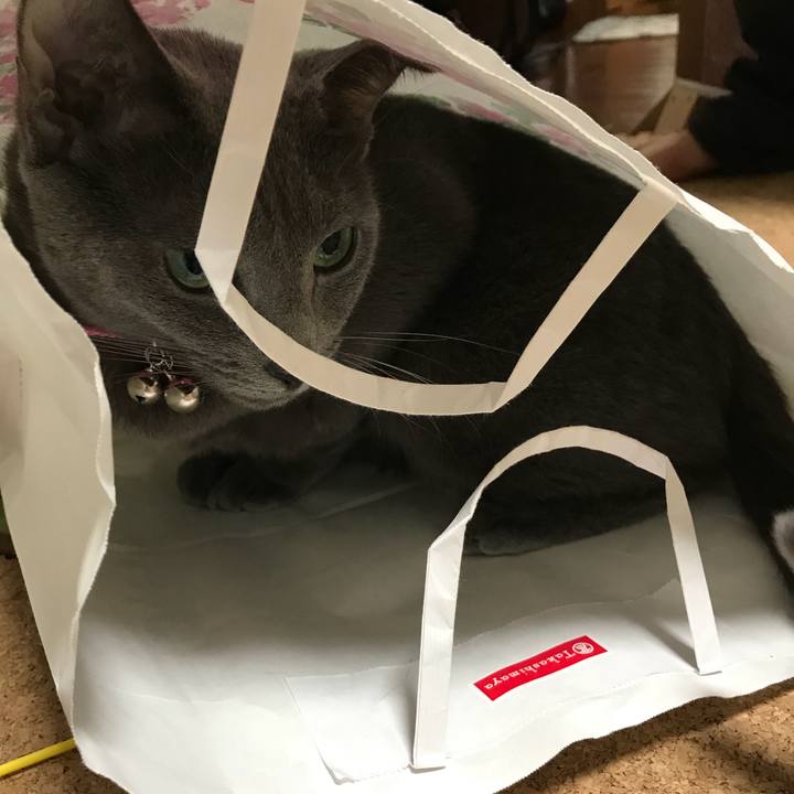 5ecb1142 fcb3 4b87 bc27 22c369ab444d 1517815552445