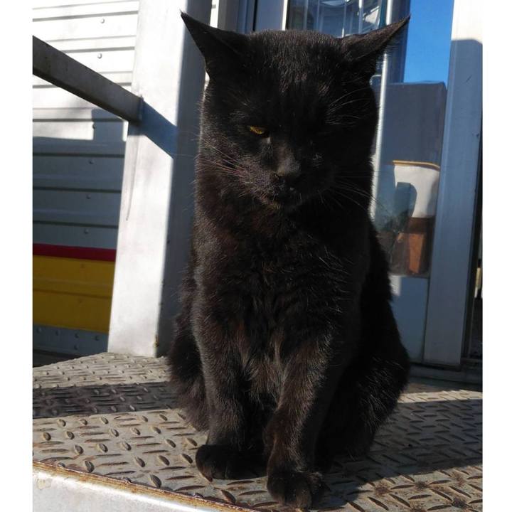 5ecb476a b665 4156 8332 ebc8f5588073 1608273307038