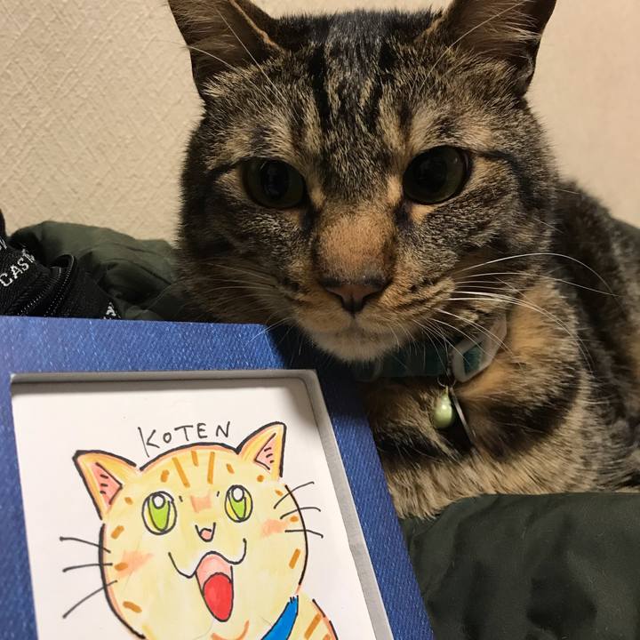 5ecb6a18 6fcd 4b8d 9019 e2253dd70ac2 1556647509059