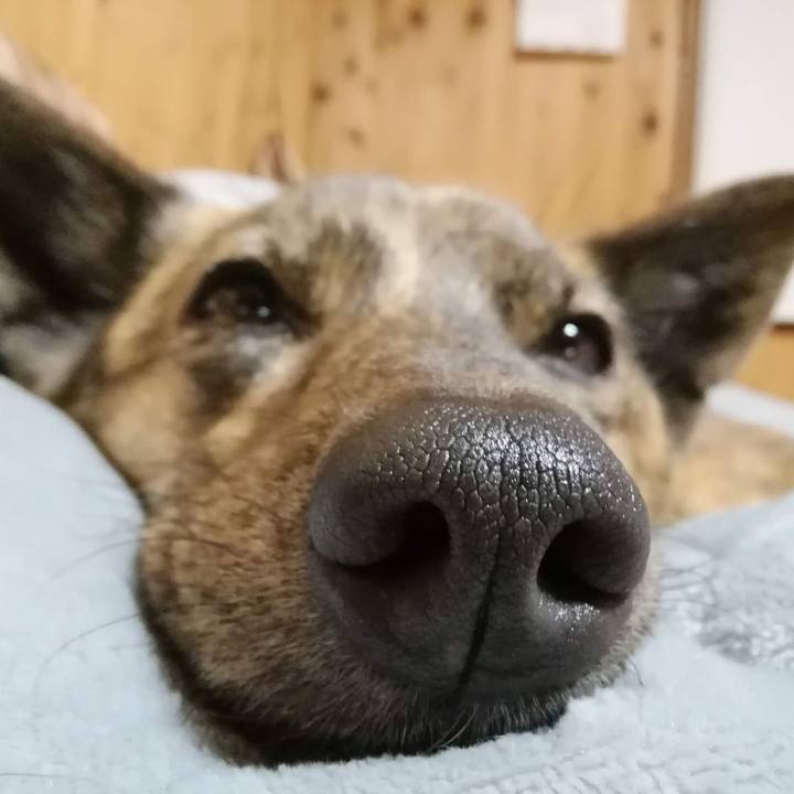 5ecb8195 d50d 488c 9c93 89ace82236a3 1580127815093