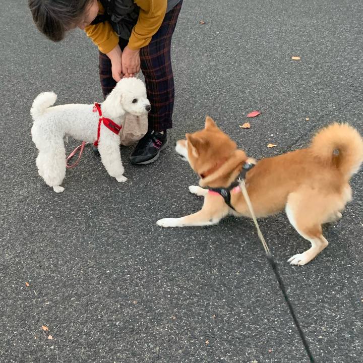 5ecb88af b27f 42ef a46e d1926d6572c5 1605603635240