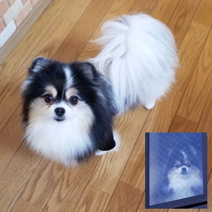 5ecbd9e7 fa7c 44ff ba14 289c606ad364 1602820356997