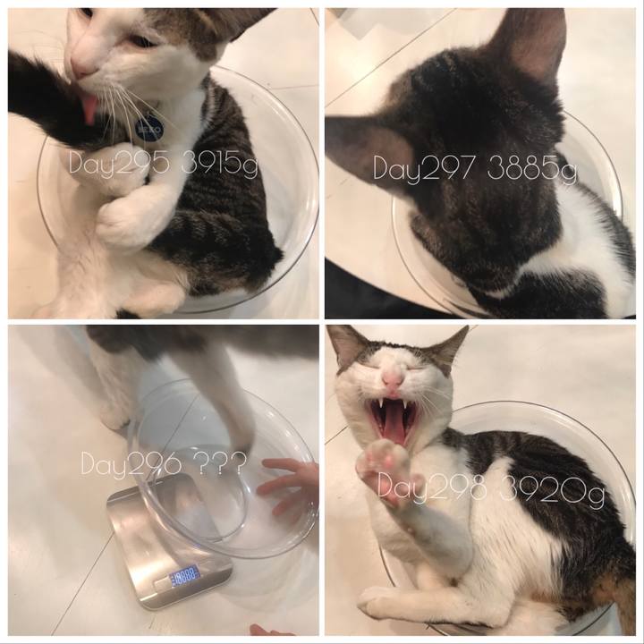 5ecc0b19 6517 407c adfe 6552ee8be46f 1523793873956