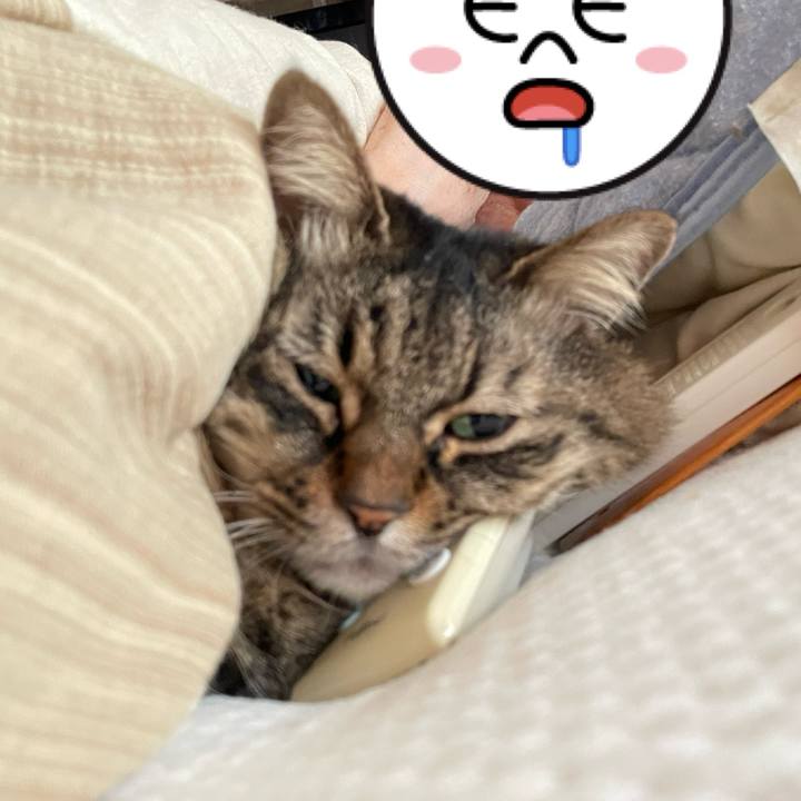 5ecc4154 eaa0 4684 8510 814e1c094064 1769578105681